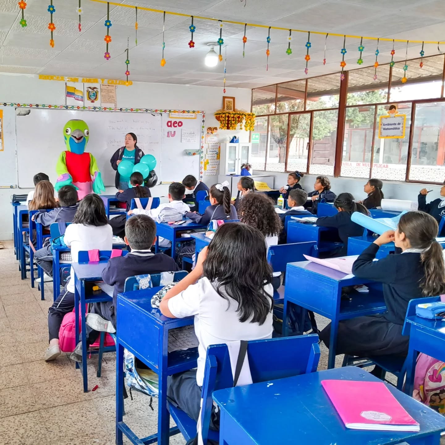 Activación 5