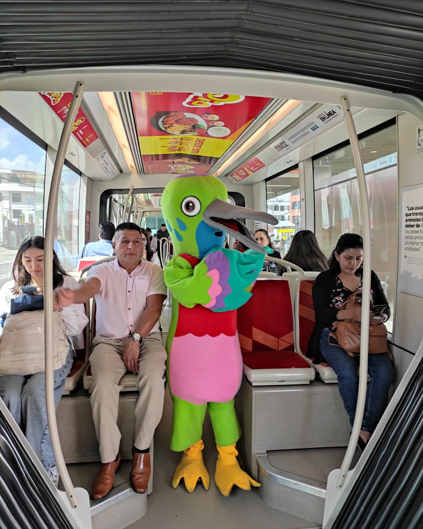 Activación 1